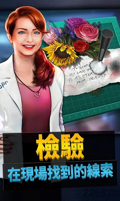 刑事案件游戏下载