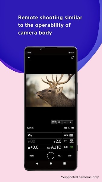 creatorsapp creators软件