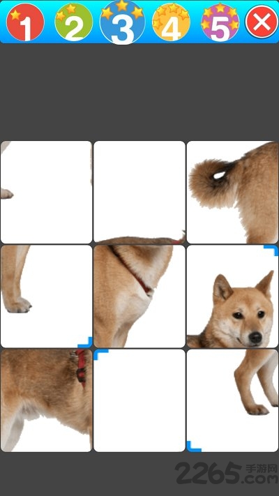 可爱动物语言学习通最新版