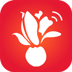 爱上海wifi app