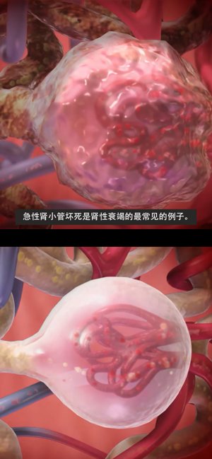 生理和病理学app