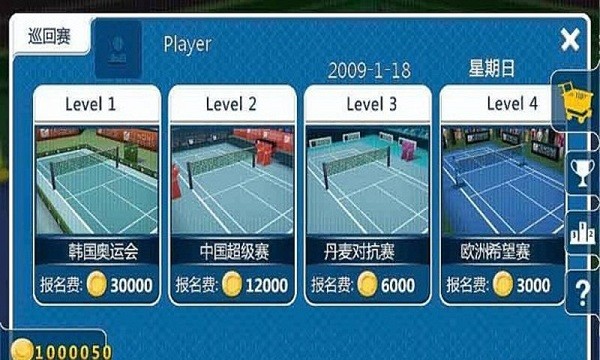 羽毛球3d联赛游戏