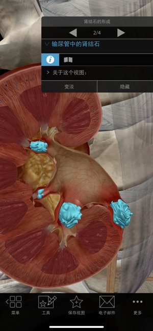 生理和病理学app