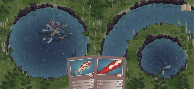 锦鲤农场安卓版(Koi Farm)