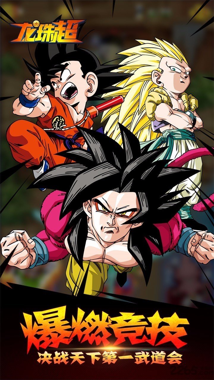 龙珠超bt满v版
